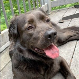 Meet your Posher, Hayley